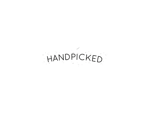 Blue Sky Flower Farm